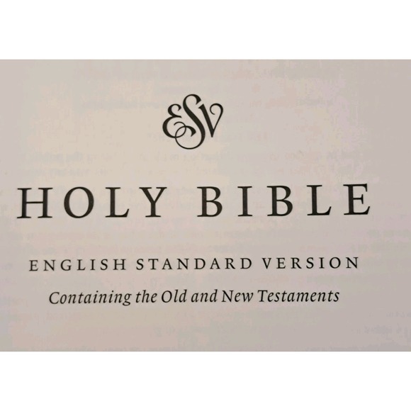 ESV Value Large Print Compact Bible TruTone Teal Ornament Design NEW - Picture 8 of 10